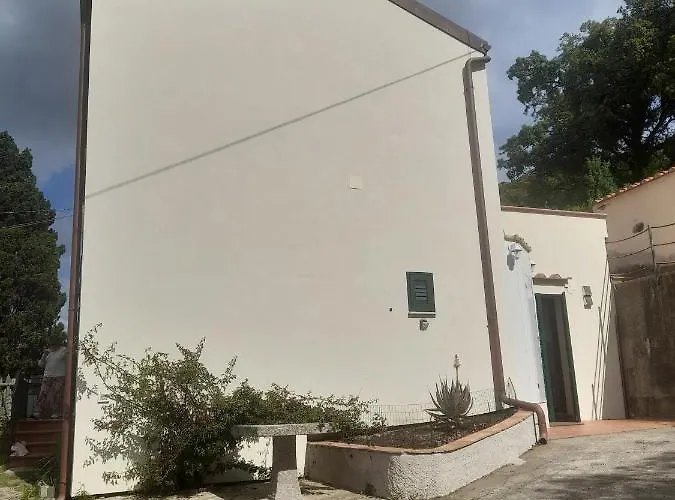 Fico D'india