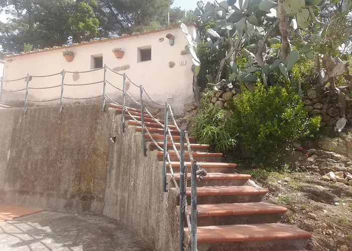 Fico D'india * Procchio (Isola d'Elba)